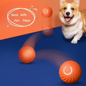 Pet Dog Rubber Ball Toys For Dogs Resistance To Bite Dog Chew Toys Puppy Pets Dogs Training Products - Elite Hub Essentials